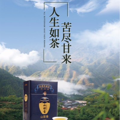 【山国香浓香铁观音茶S1300】 安溪铁观音 浓香型乌龙