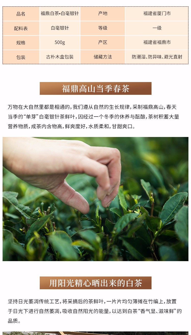 【福鼎白茶·白毫银针】收藏茶 2019原料(图3)